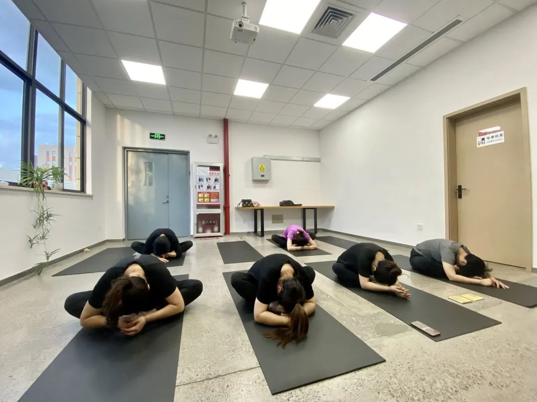 夏日炎炎， 中泰“瑜”你攜手同行